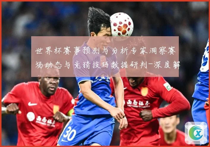 世界杯赛事预测与分析专家洞察赛场动态与竞猜技巧数据研判-深度解析